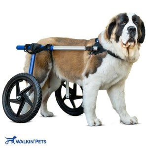 Walkin' Wheels Rear Dog Wheelchair